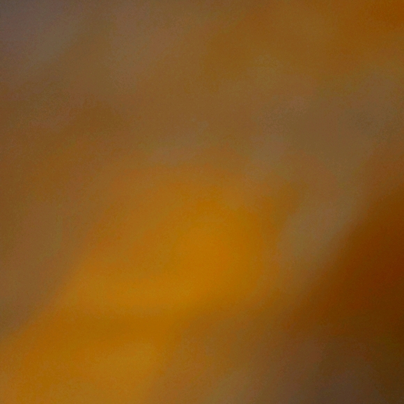 Meet your Posher, Ali - Picture 1 of 1